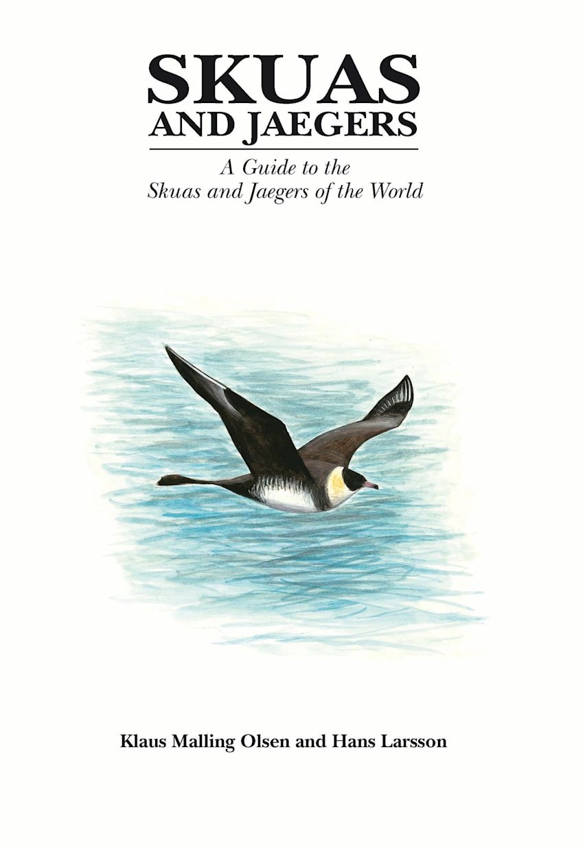 Skuas and Jaegers - A Guide to the Skuas and Jaegers of the World