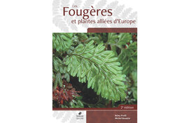 Les Fougères et Plantes Alliées d'Europe