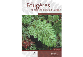 Les Fougères et Plantes Alliées d'Europe