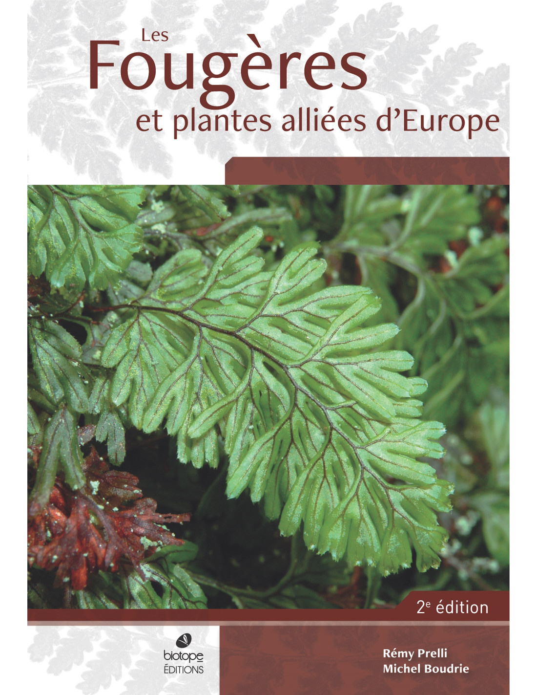 Les Fougères et Plantes Alliées d'Europe