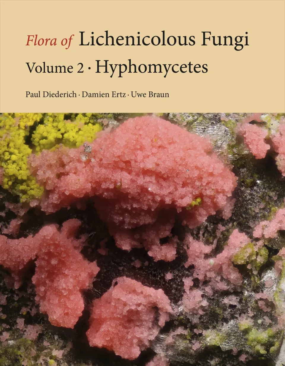 Flora of Lichenicolous Fungi, Volume 2: Hyphomycetes