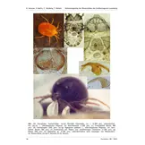 Verbreitungsatlas der Wassermilben des Großherzogtums Luxemburg - Ferrantia, Volume 85