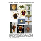 Verbreitungsatlas der Wassermilben des Großherzogtums Luxemburg - Ferrantia, Volume 85