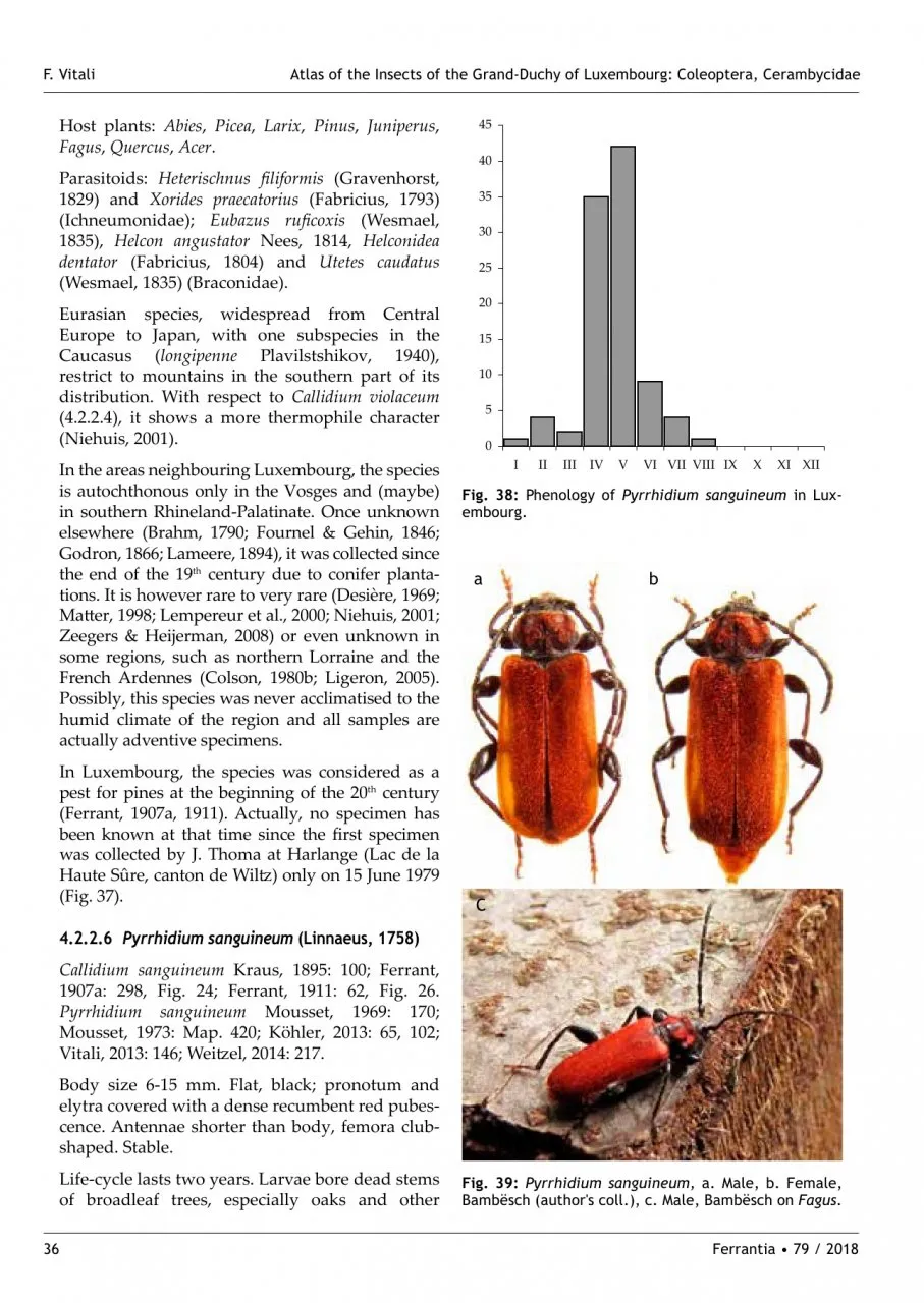 Atlas of the Insects of the Grand-Duchy of Luxembourg: Coleoptera, Cerambycidae - Ferrantia, Volume 79