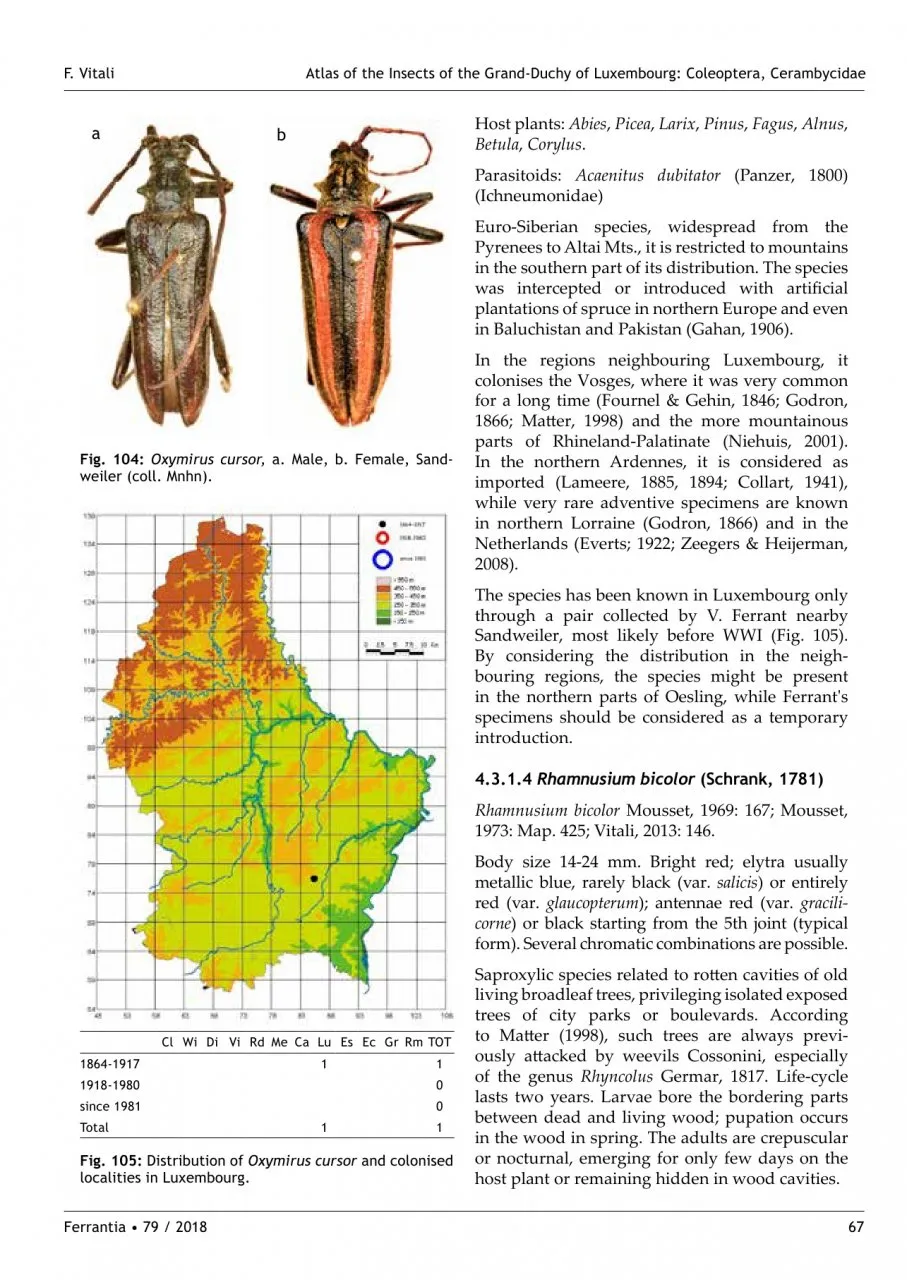 Atlas of the Insects of the Grand-Duchy of Luxembourg: Coleoptera, Cerambycidae - Ferrantia, Volume 79