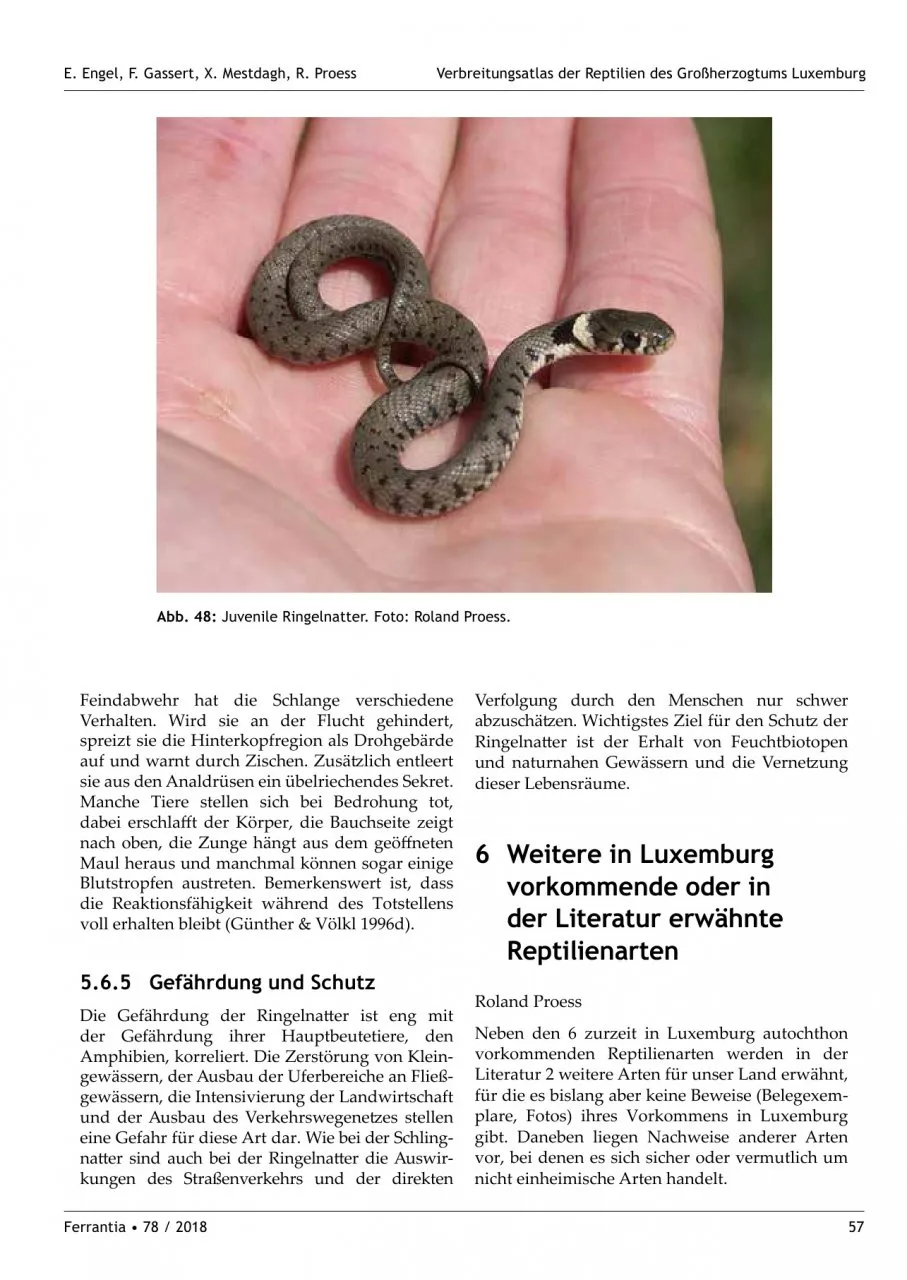 Verbreitungsatlas der Reptilien des Großherzogtums Luxemburg - Ferrantia, Volume 78
