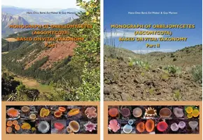 Monograph of Orbiliomycetes (Ascomycota) Based on Vital Taxonomy