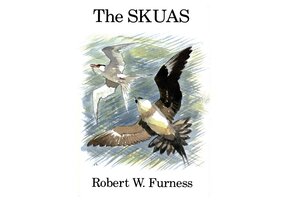 The Skuas