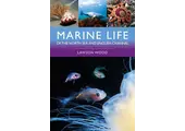 Marine Life of the North Sea and English Channel