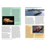 Marine Life of the North Sea and English Channel