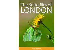 The Butterflies of London
