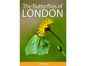 The Butterflies of London