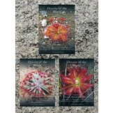 Drosera of the World: Volumes 1, 2 & 3