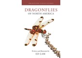 Dragonflies of North America