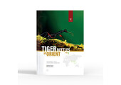 Tiger Beetles of Orient Vol. 1