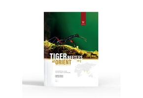 Tiger Beetles of Orient Vol. 1