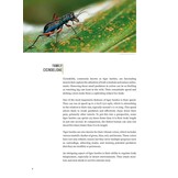 Tiger Beetles of Orient Vol. 1: Indomalayan Region - Geographical guide to the family Cicindelidae