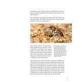 Tiger Beetles of Orient Vol. 1: Indomalayan Region - Geographical guide to the family Cicindelidae