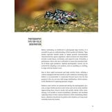 Tiger Beetles of Orient Vol. 1: Indomalayan Region - Geographical guide to the family Cicindelidae