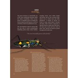 Tiger Beetles of Orient Vol. 1: Indomalayan Region - Geographical guide to the family Cicindelidae