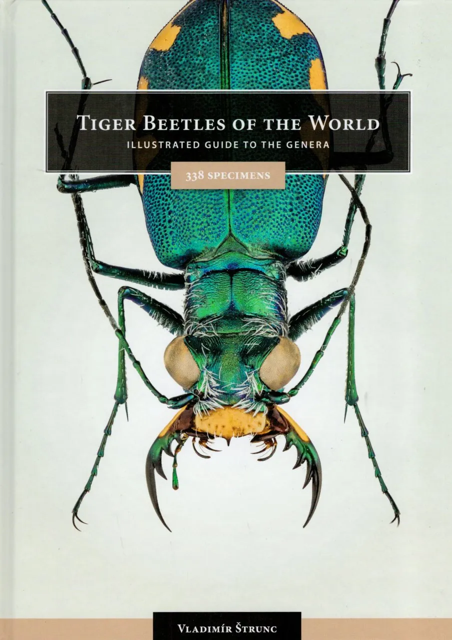 Tiger Beetles of the World - Illustrated Guide to the Genera