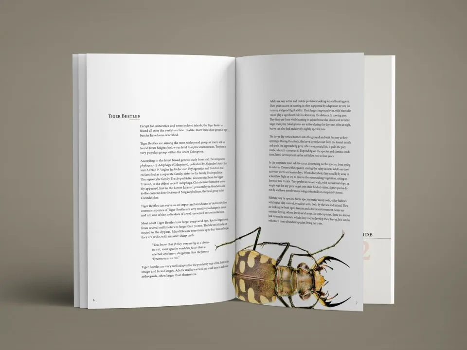 Tiger Beetles of the World - Illustrated Guide to the Genera