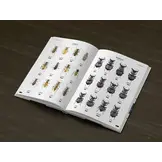 Tiger Beetles of the World - Illustrated Guide to the Genera