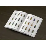 Tiger Beetles of the World - Illustrated Guide to the Genera