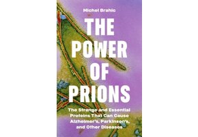 The Power of Prions