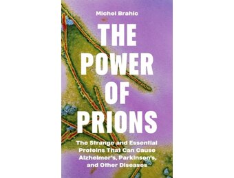 The Power of Prions