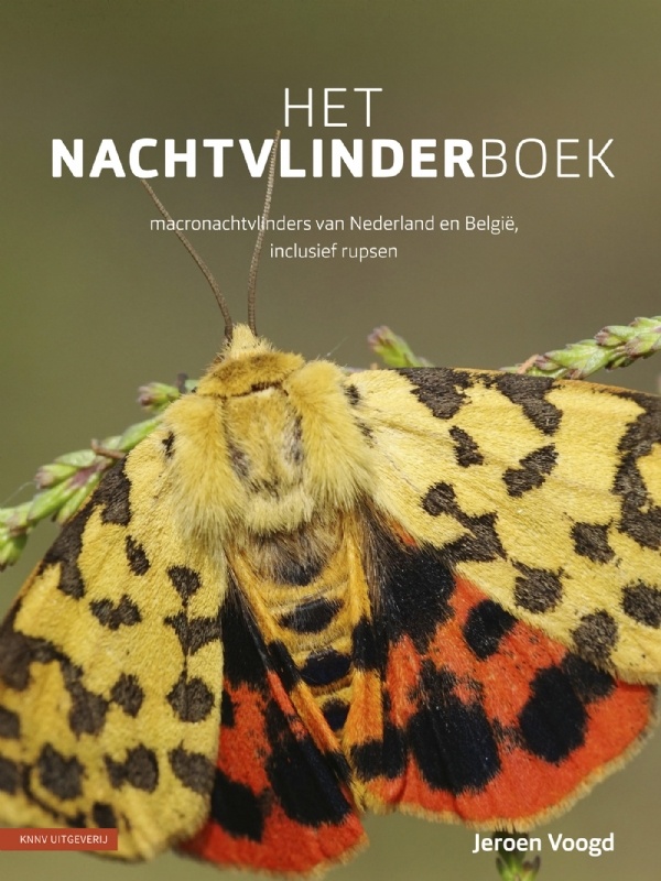 Het Nachtvlinderboek - Macronachtvlinders van Nederland en België, inclusief rupsen