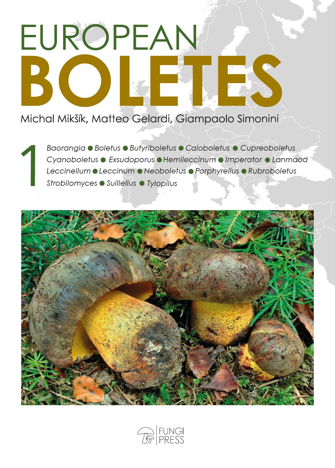 European Boletes, Volume 1 - Baorangia, Boletus, Butyriboletus, Caloboletus,Cyanoboletus, Cupreoboletus, Cyanoboletus, Exsudoporus, Hemileccinum, Imperator, Lanmaoa, Leccinellum, Leccinum, Neoboletus, Porphyrellus, Rubroboletus, Suillellus, Tylopilus