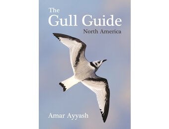 The Gull Guide