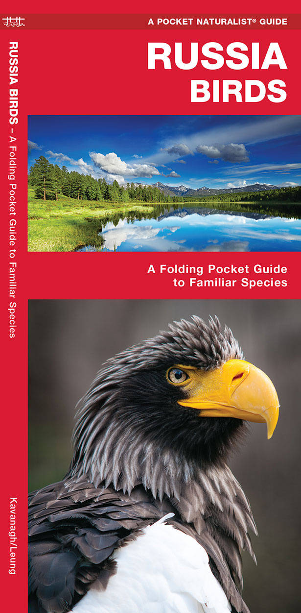 Russia Birds - A Folding Pocket Guide to Familiar Species