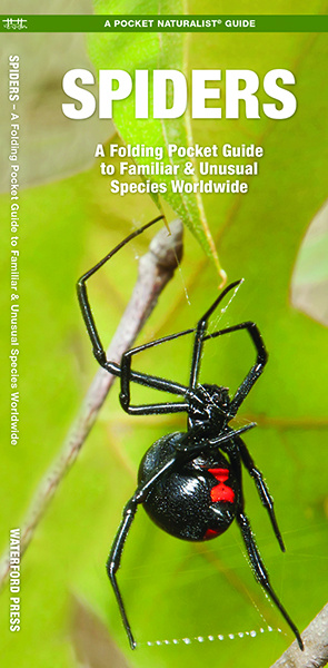 Spiders - A Folding Pocket Guide to Familiar & Unusual Species Worldwide
