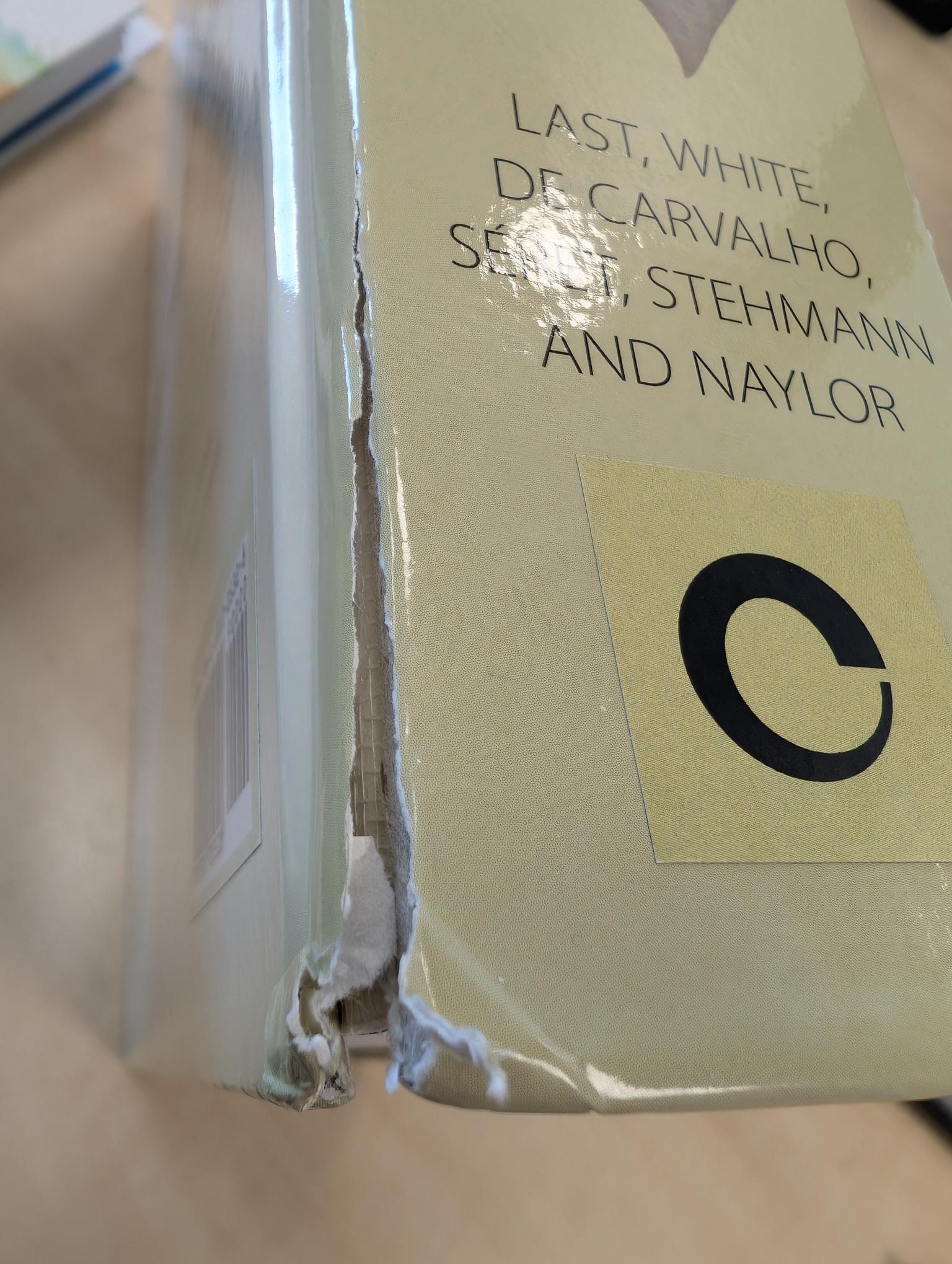 Beschadigd exemplaar - Rays of the World