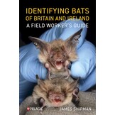 Identifying Bats of Britain and Ireland - A Field Worker’s Guide