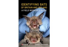 Identifying Bats of Britain and Ireland