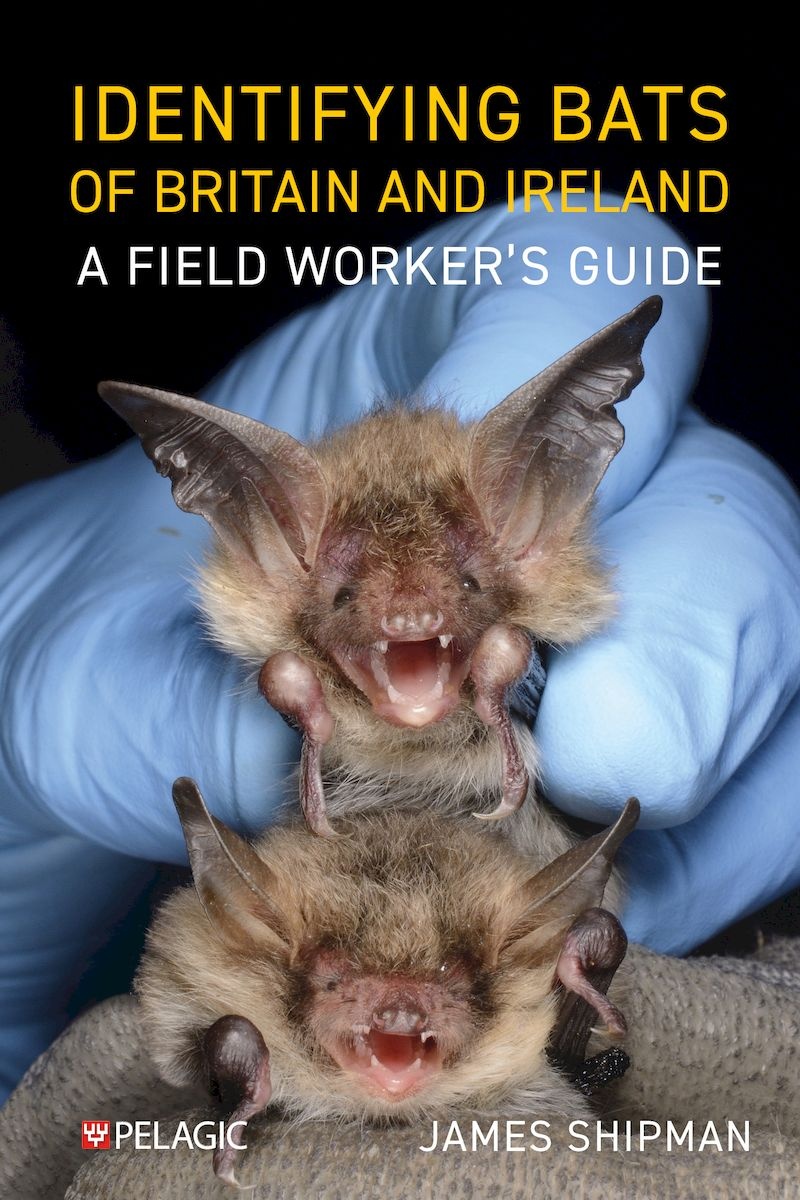 Identifying Bats of Britain and Ireland - A Field Worker’s Guide