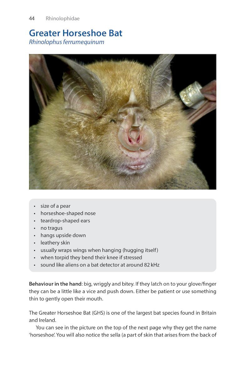 Identifying Bats of Britain and Ireland - A Field Worker’s Guide