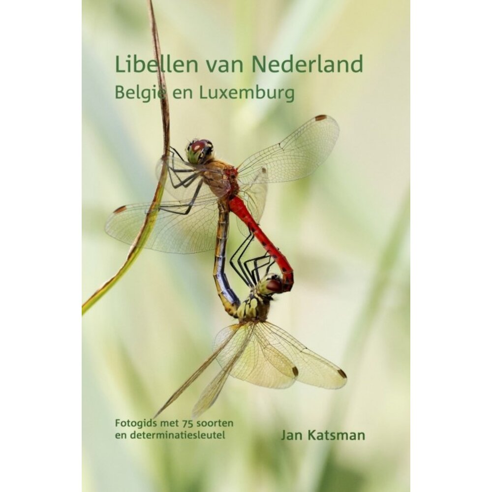 Libelle