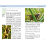 Field Guide to Mammals of Madagascar