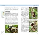 Field Guide to Mammals of Madagascar