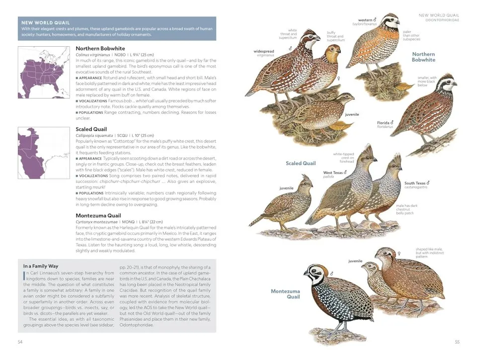 National Geographic Field Guide to the Birds of the United States and Canada - East