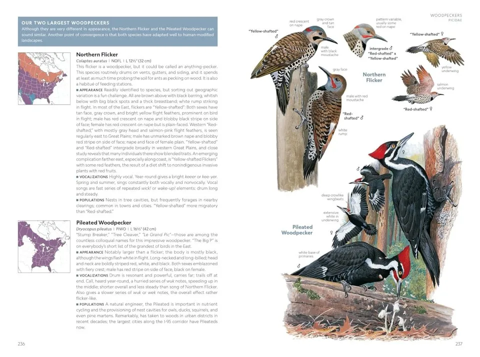 National Geographic Field Guide to the Birds of the United States and Canada - East
