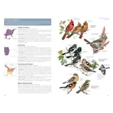 National Geographic Field Guide to the Birds of the United States and Canada - East