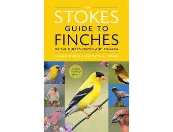 The Stokes Guide to Finches of the United States and Canada