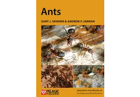 Ants