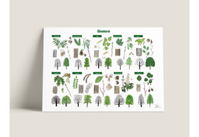 Baum-Poster