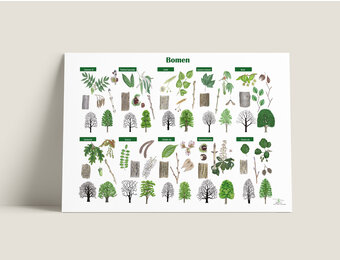 Baum-Poster